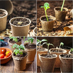 JERIA 100-Pack 3.15 Inch Peat Pots for Seedling with 100 Pcs Plant Labels,Outdoor Garden Germination Nursery Pots,Biodegradable Seed Starter Pots Kits
