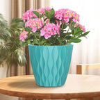 6 Pack 7 Inch Indoor Plant Pots with Drainage Holes, Outdoor Plastic Decorative Flower Pots, Garden Planters with Tray Saucers for Orchids, Violets, Succulents, Herbs, and Other Plants
