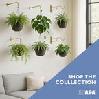 Ilyapa 4 Pack Metal Plant Wall Hanger Hooks - 7 in. Hook for Hanging, Baskets, and Macrame, Indoor Hangers in Matte Black Finish, Wall Planters