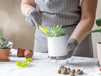 Planter Pots with Saucers, Matte White Plastic, 4 Inch, Set of 2