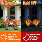 2 Pack Solar Stake Lights Outdoor Decor Waterproof Mums Artificial Flowers Solar Lights for Outdoor Garden Yard Pathway Decor (Orange,Violet)