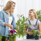 Larger 23.6in Taller Plant Trellis for Climbing Plants Indoor, 4 Pack Metal Garden Trellis for Potted Plants, Rustproof, Larger, Sturdy Climbing Plant Support for Indoor & Outdoor Houseplants