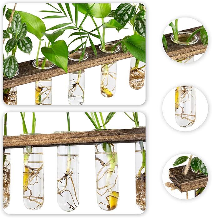Terrarium Hanging Propagation Station, 3-Tier Wood Frame, 15 Glass Tubes