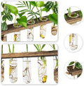 Terrarium Hanging Propagation Station, 3-Tier Wood Frame, 15 Glass Tubes