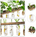 Terrarium Hanging Propagation Station, 3-Tier Wood Frame, 15 Glass Tubes