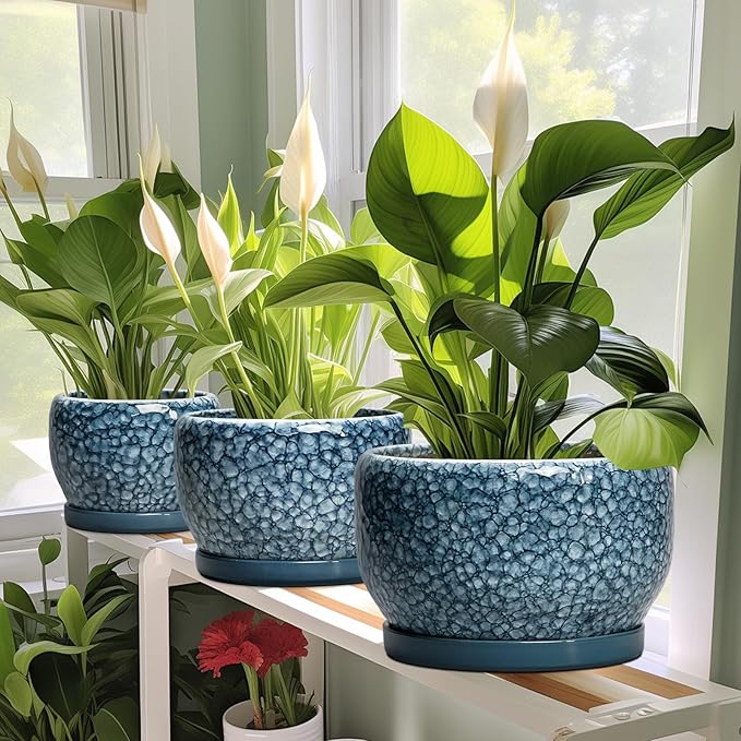SQOWL 8 inch Plant Pot - Ceramic Pots for Plants Indoor, Decorative Plant Pot with Drainage Hole and Saucer, Ceramic Flower Pots Outdoor, Round Planter, Living Room Decor, Garden Gifts for Women, Blue