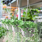 Roshtia 50 Pcs 5.9 inch Plastic Hanging Plant Pots with Hooks Flower Pots Baskets Outdoor Hanging Nursery Planter Holder for Home Garden Balcony Porch(Gray White, 5.9 inch)