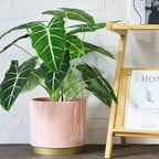 Gepege Pink Indoor Plant Pots for Plants, Large Ceramic Planter with Drainage Hole, 9.6-inch Succulent Orchid Flower Pot - Rainbow Pearl Glaze