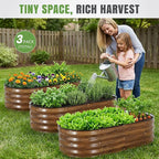 INNO STAGE 3Pcs Galvanized Raised Garden Bed Kit, Outdoor Metal Raised Garden Beds for Vegetables, Rust-Resistant & Easy Assembly, 4x2x1ft Oval Raised beds for Gardening, Flowers, Herbs (CoatedGrain)
