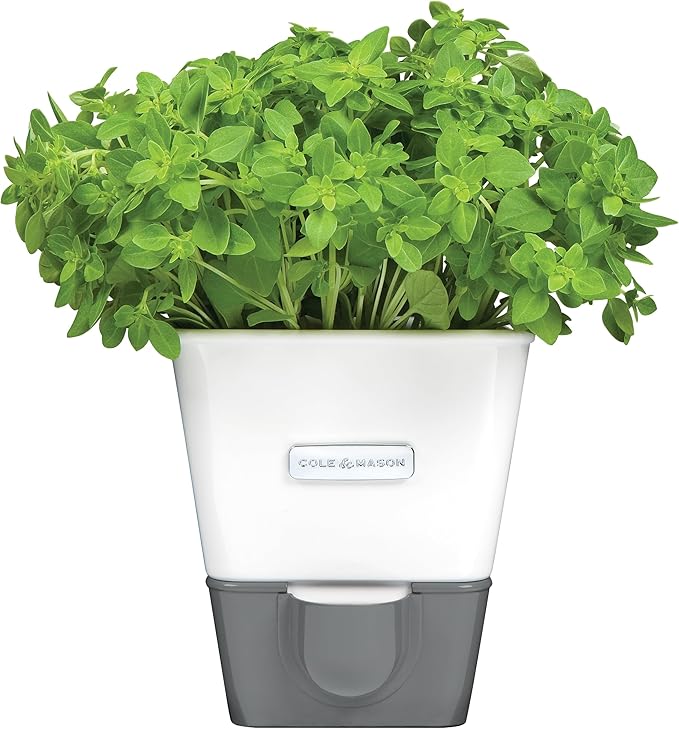 Planters Herb Keeper with Flip Lid, White Alloy Steel, 10 Fl Oz