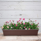 Root & Vessel 16363, Brown, Countryside Flower Box Planter, 36-Inch