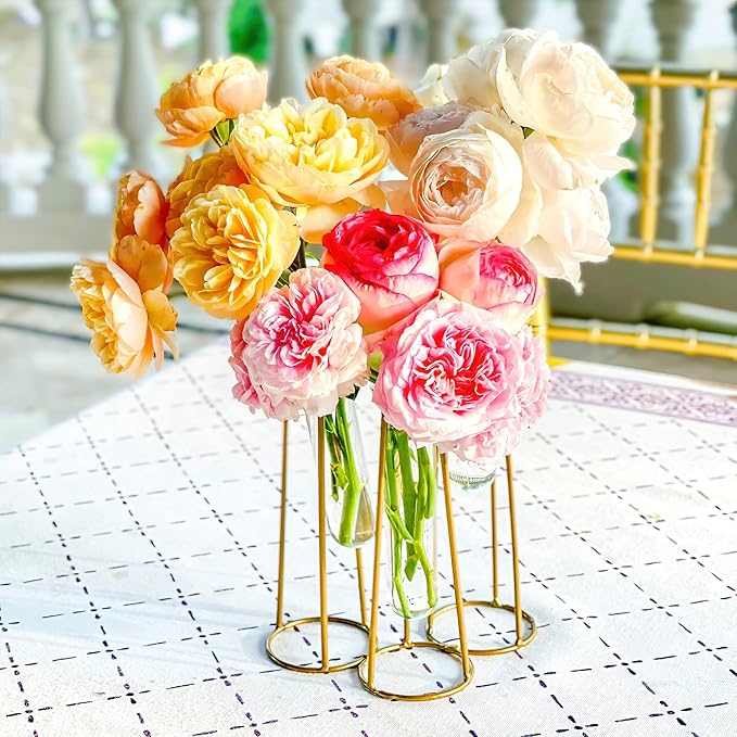 Planter Set of 3 Clear Glass Test Tube Vases with Antique Gold Metal Base