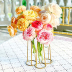 Planter Set of 3 Clear Glass Test Tube Vases with Antique Gold Metal Base