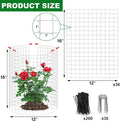 Plant Cage Supports, 12 Sets Galvanized Steel Garden Protectors 16 x 12 Inch