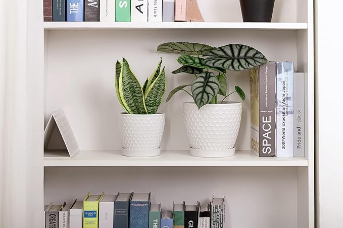 Docrin Ceramic Plant Pots Set of 2 (6.6"+5.5"), High-Fired Clay Indoor Planters with Drainage Holes & Saucer, Honeycomb Modern Home Decor for All House Plants