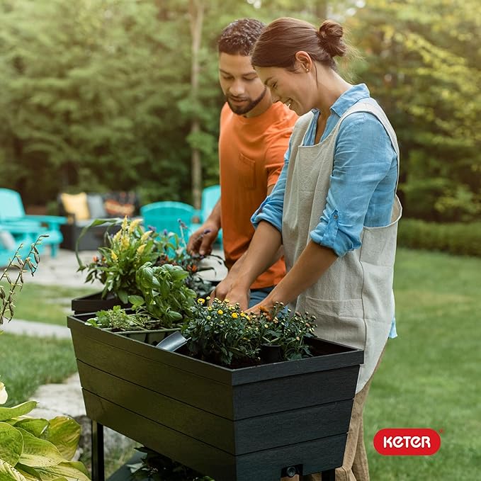 Keter Urban Bloomer 12.7‑Gallon Raised Garden Bed – Elevated Outdoor Planter Box with Self‑Watering Reservoir, Water Gauge & Drainage System, Perfect for Herbs & Vegetables, Dark Grey