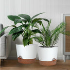 12inch Large Self Watering Plant Pot, Plastic Cylinder Planter with 60Oz Deep Reservoir and Saucer for Indoor Outdoor Plants Flowers Houseplants, White with Brown