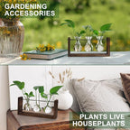 Terrarium Wall Hanging Propagation Station, 3 Glass Vases, Brown Wood Frame