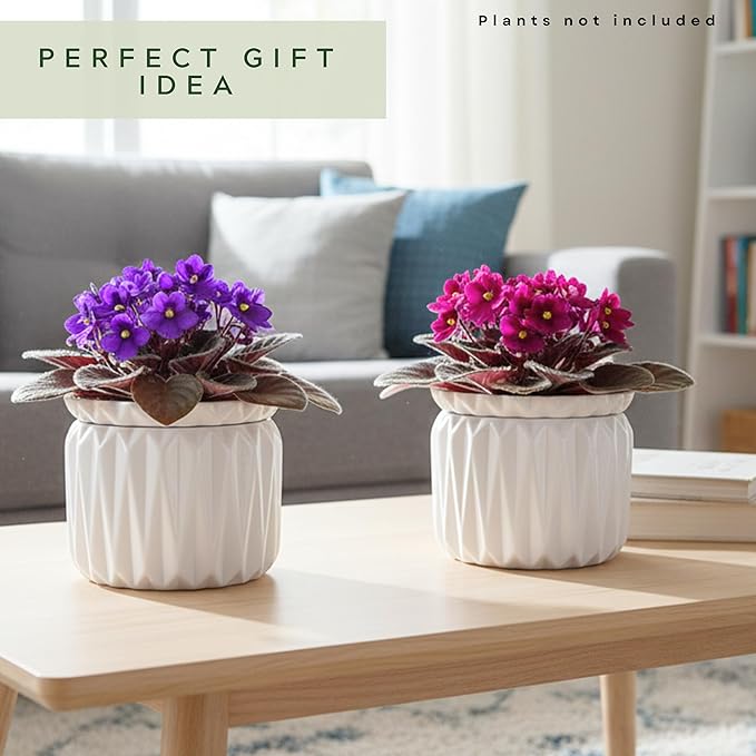 6 Inch African Violet Pots Self Watering, Ceramic Planter with Water Reservoir and Fill Lines, 4 Inch Opening, Indoor Flower Pot, Holds 3 Weeks of Water (2 Pack White)