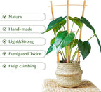 Bamboo Trellis, 24pack 16 Inch Small Plant Wood Bamboo Trellis for Climbing Plants Indoor Potted Plants