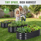 INNO STAGE 3Pcs Galvanized Raised Garden Bed Kit, Outdoor Metal Raised Garden Beds for Vegetables, Rust-Resistant & Easy Assembly, 4x2x1ft Oval Raised beds for Gardening, Flowers, Herbs (CoatedGrey)