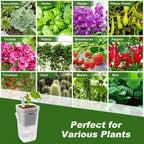 12 Pack Self Watering Pots Set for Indoor Plants, 2.5" Small Clear Self Watering Planters with Watering Holes Plastic Flower Pot with 12 Labels, 12 Ropes