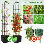 Garden Obelisk Trellis for Climbing Plants - 6.7FT Tall Weather-Resistant Rustproof Metal Plant Flower Support for Roses, Clematis, Tomatoes & Vines, Indoor/Outdoor Use, 11.8”D (2 Pack)