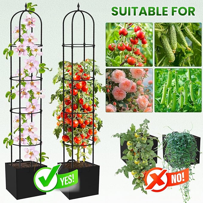 Garden Obelisk Trellis for Climbing Plants - 6.7FT Tall Weather-Resistant Rustproof Metal Plant Flower Support for Roses, Clematis, Tomatoes & Vines, Indoor/Outdoor Use, 11.8”D (2 Pack)