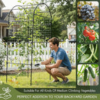 79" Garden Trellis Arch for Climbing Plants – Tall Outdoor Metal Trellis for Vegetables, Peas, Tomatoes,﻿ Cucumber Trellis Arch & Vertical Garden Climber Plant Support for Vine Plants