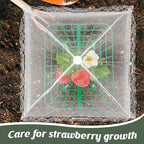 4 Sets Strawberry Plant Support with Mesh Plant Cover,Strawberry Growing Racks Sets with Iron Plant Nails and Storage Bag for Garden Strawberry Vegetables(White Net - Square)