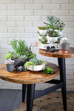 The HC Companies 8 Inch Round Plastic Succulent Capri Bowl Decorative Indoor Flower Succulent Planter Pot with Drain Plug Hole, Artisan Taupe with Copper Bottom Color (2 Pack)