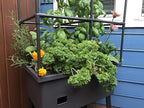 Frame It All Hydroponic Tower with Trellis Frame and Greenhouse Cover, Vertical Garden Planter for Vegetables and Flowers, Self-Watering Garden Tower with 4.35-Gallon Water Storage, 15.75 x 23.5 x 57