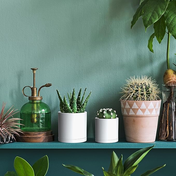 Planters: Set of 12 Matte White Plastic Pots, 3.5 Inch with Saucers