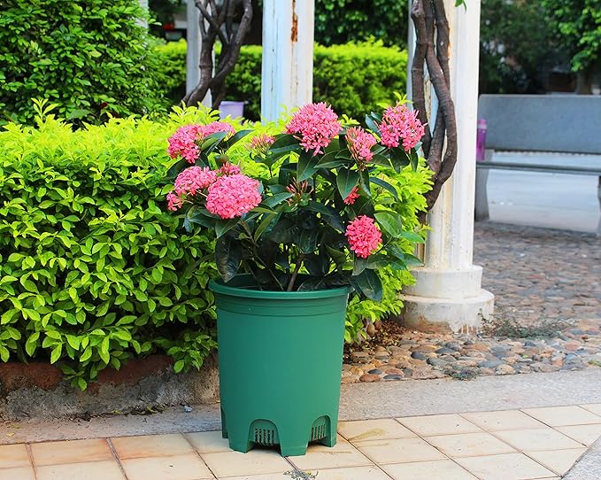 5 Gallon 6-Pack Green Large Plant Pots Nursery Tree Pot Plastic Planters for Outdoor Indoor Plants Gardening Flower Pots with Drainage Holes