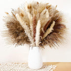Dried Pampas Grass Bundle, 135 Pieces, Neutral Tones for Home Decor