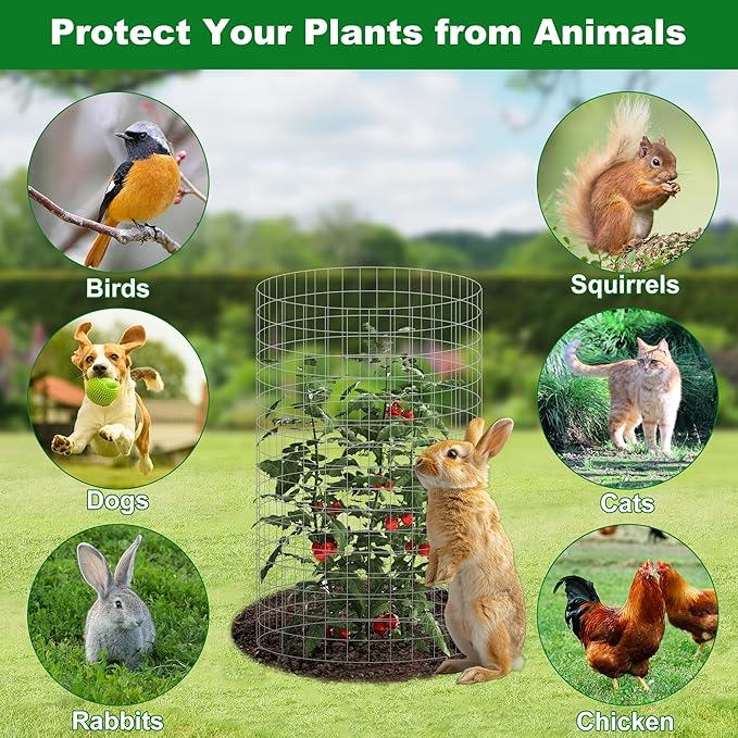 Plant Cage Supports, 12 Sets Galvanized Steel Garden Protectors 16 x 12 Inch