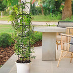 2-Pack 6.7FT Garden Obelisk Trellis for Climbing Plants,81”Metal Plant Support Tower,Heavy Duty Thickened Tube,Rustproof Black Vine & Flower Stand for Outdoor Indoor Use