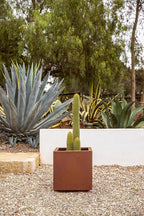 Veradek Corten Steel Series Cube Planter - Square Metal Planter for Outdoor Patio/Garden | Naturally Rusting Steel for All-Weather Use | Modern Rustic Décor for Trees, Flowers, Tall Trees