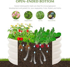 2-Pack 2x1ft Galvanized Raised Garden Bed, Outdoor Planter Bed, Metal Planter Box for Gardening and Planting