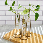 Planter Set of 3 Clear Glass Test Tube Vases with Antique Gold Metal Base