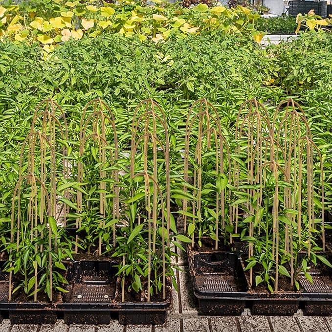 Coloch 20 Pack Bamboo U Trellis Support, 16 Inch U Loop Plant Stake Arch Garden Trellis for Potted Plants, Climbing Flowers and Vines, Ivy, Outdoor Planting