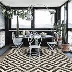 SAND MINE Reversible Mats, Plastic Straw Rug, Modern Area Rug, Large Floor Mat and Rug for Outdoors, RV, Patio, Deck, Beach, Camping (Black & Beige Lattice, 4' x 6', -3% to 5% Size Variance)