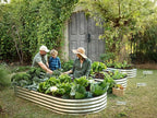 Plant & Plot Galvanized Raised Garden Beds Outdoor // 6×3×1 ft Planter Raised Beds for Gardening, Vegetables, Flowers // Large Metal Garden Box // Patented Tool-Free Design (Silver)