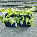 Maxona Black Color Vertical Garden Planter - 2 Pack, 13 inch Wall Mounted Planter for Patio Outdoor Decor, Home Plastic Pot Balcony Plant Vegetable Fruit Herb Hanging Pocket Holder Flowerpot