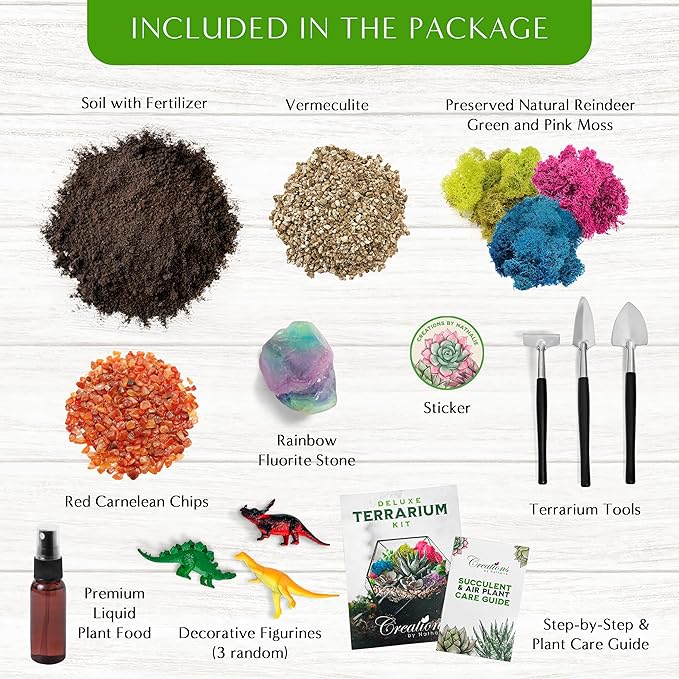 Terrarium Kit with Succulent Soil, Pebbles & Crystal Gems, Small