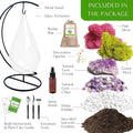 Teardrop Terrarium Kit with Stand, Moss & Pebbles