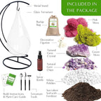 Teardrop Terrarium Kit with Stand, Moss & Pebbles