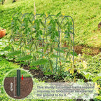 iGreely Cucumber Trellis for Raised Bed, U-Shape Garden Arch Metal Support for Climbing Plants, Metal Arch Vegetables Trellis, Plant Support for Vine (Green, 69.3" L×30" W×47.2" H)