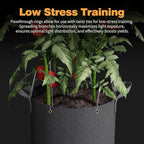 Self-Watering Grow Bags, 5-Pack 5 Gallon 420G Thick Nonwoven Fabric Pots with Reinforced Handles and Multi-Purpose Rings, for Low Stress Plant Training Fruits, Vegetables,and Flowers
