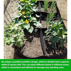 CJGQ Fabric Raised Garden Bed 4x2x1ft Garden Grow Bed Bags for Growing Herbs, Flowers and Vegetables 55 Gallon